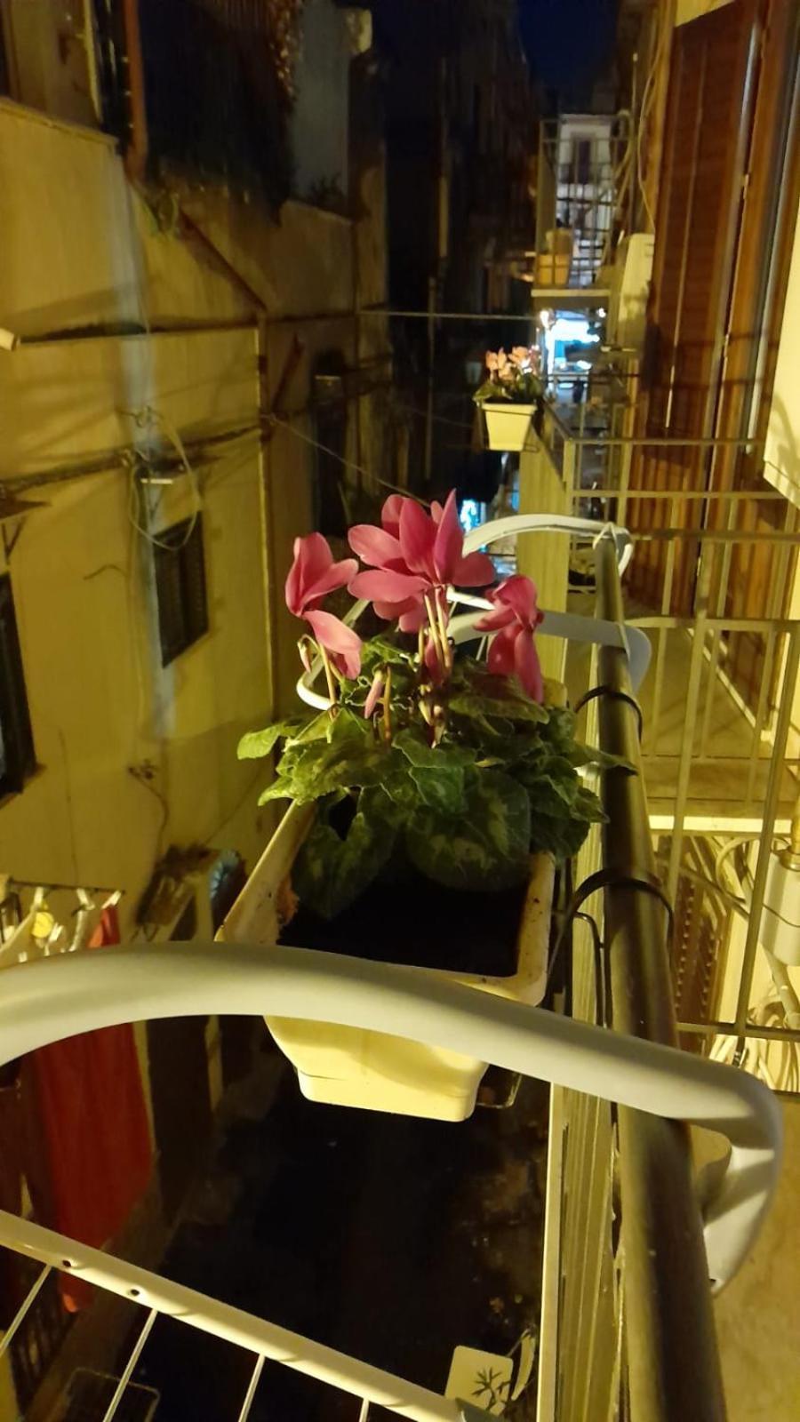 Casa Kyla Διαμέρισμα Παλέρμο Εξωτερικό φωτογραφία